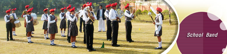Diclamer Image
